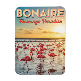 Flamingos in Bonaire Niederländische Karibik Magnet