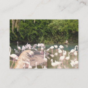 Flamingos in der Freizeit Begleitkarte