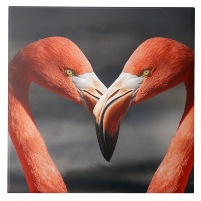 Flamingos in Liebe Fliese (Vorderseite)