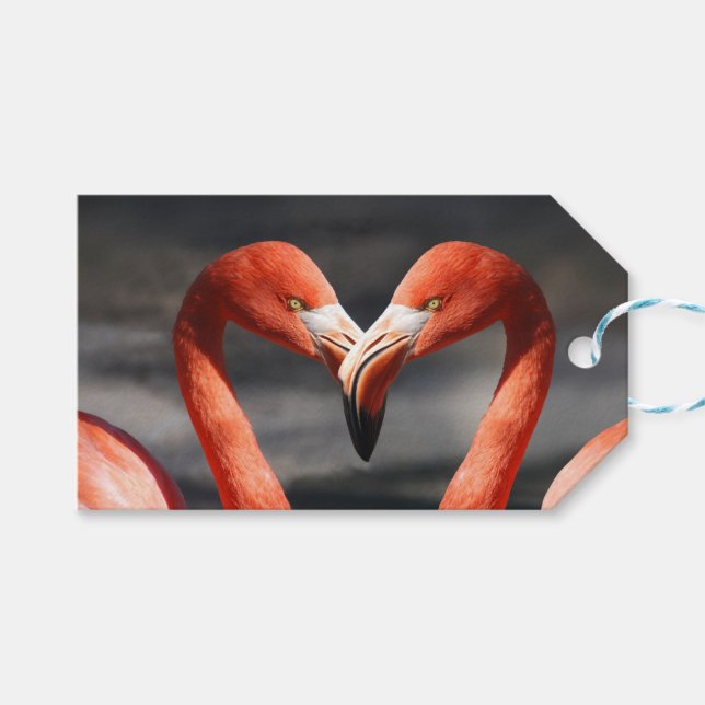Flamingos in Liebe Geschenkanhänger (Vorderseite (Horizontal))