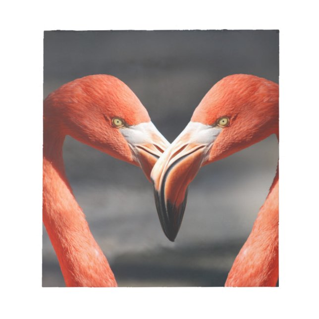 Flamingos in Liebe Notizblock (Vorderseite)