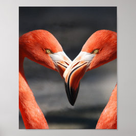 Flamingos in Liebe Poster