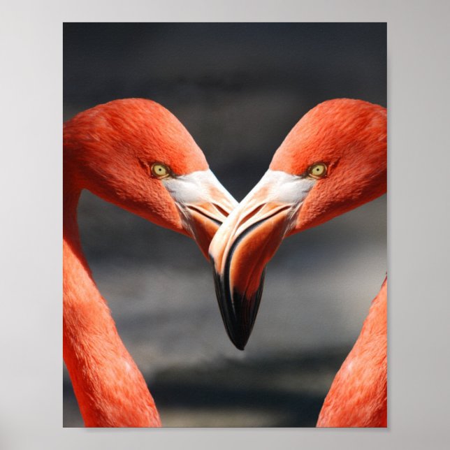 Flamingos in Liebe Poster (Vorne)