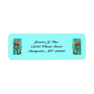 Flamingos in spanischen Moss-Rücksendeadressen-Auf