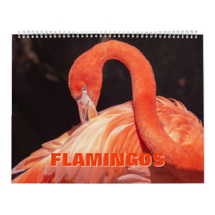 Flamingos-Kalender Kalender