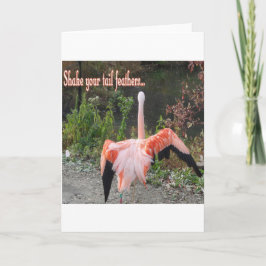 Flamingos Karte