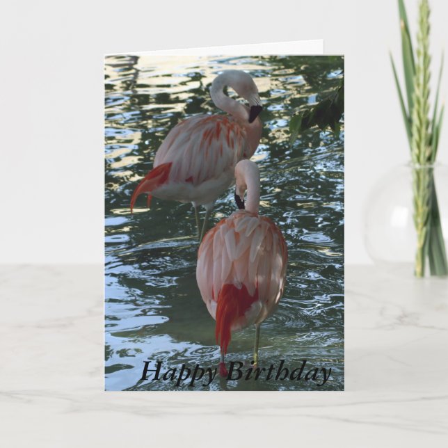 Flamingos Karte (Vorderseite)