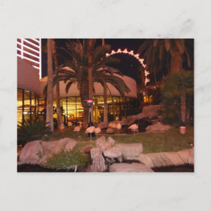 Flamingos, Las Vegas Postcard Postkarte