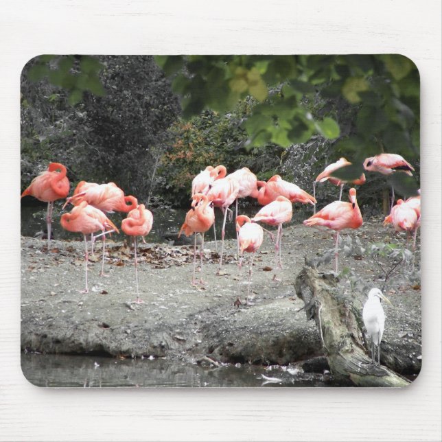 Flamingos Mousepad (Vorne)