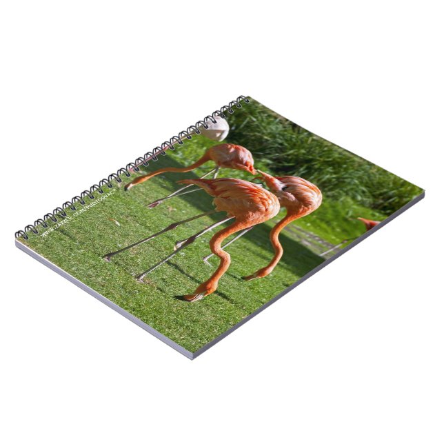Flamingos-Notebook Notizblock (Linke Seite)