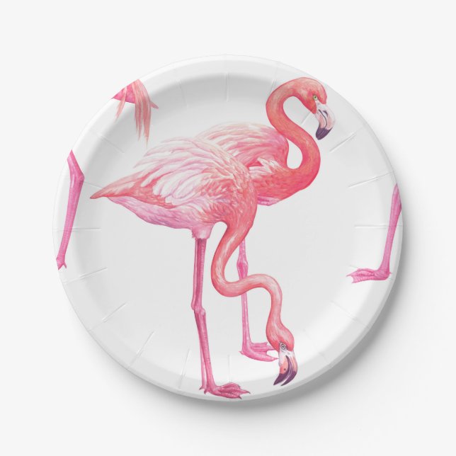 Flamingos Pappteller (Vorderseite)