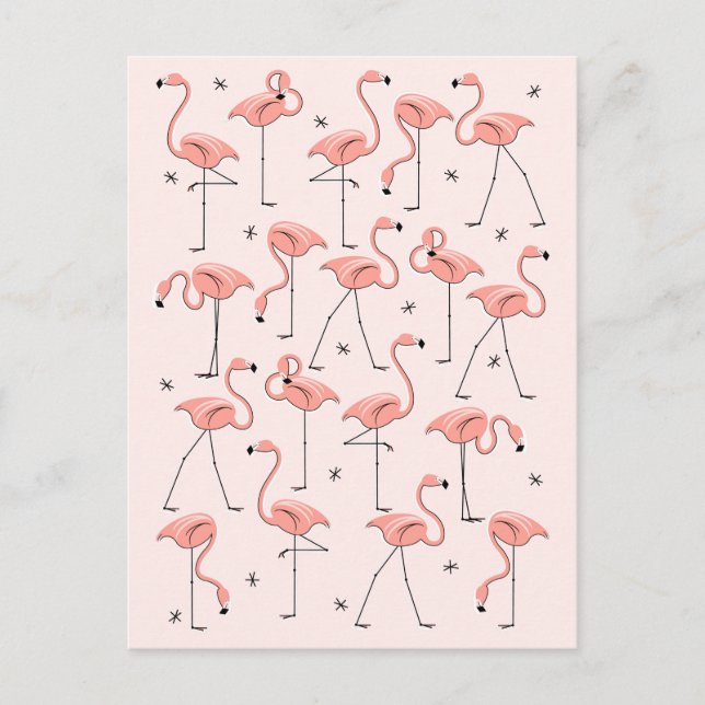 Flamingos Pink Postkarte (Vorderseite)