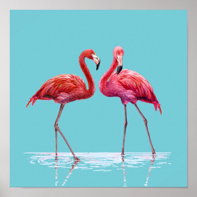 Flamingos Poster (Vorne)