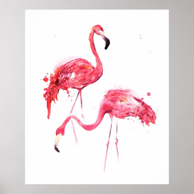 Flamingos Poster (Vorne)