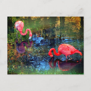Flamingos Postkarte