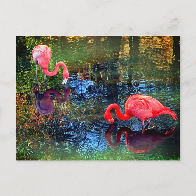 Flamingos Postkarte (Vorderseite)
