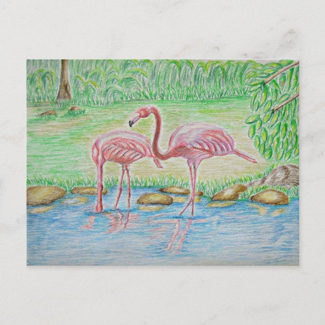 Flamingos Postkarte (Vorderseite)