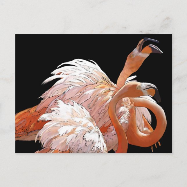 Flamingos Postkarte (Vorderseite)