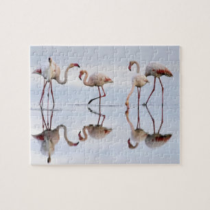 Flamingos Puzzle