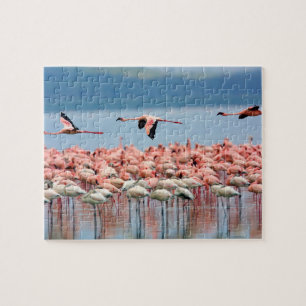 Flamingos Puzzle