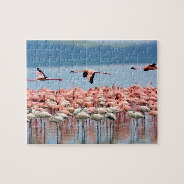 Flamingos Puzzle (Horizontal)