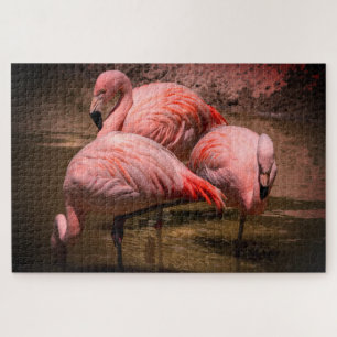 Flamingos Puzzle