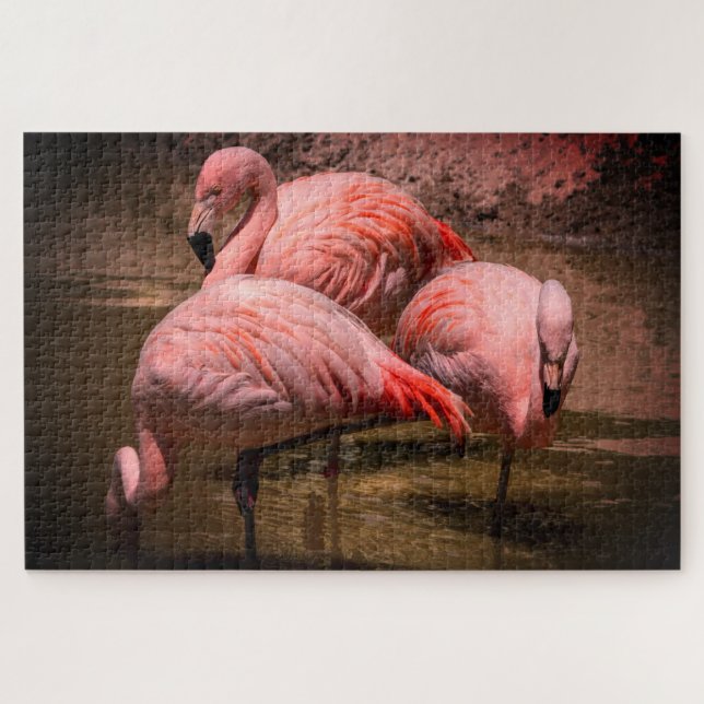 Flamingos Puzzle (Horizontal)