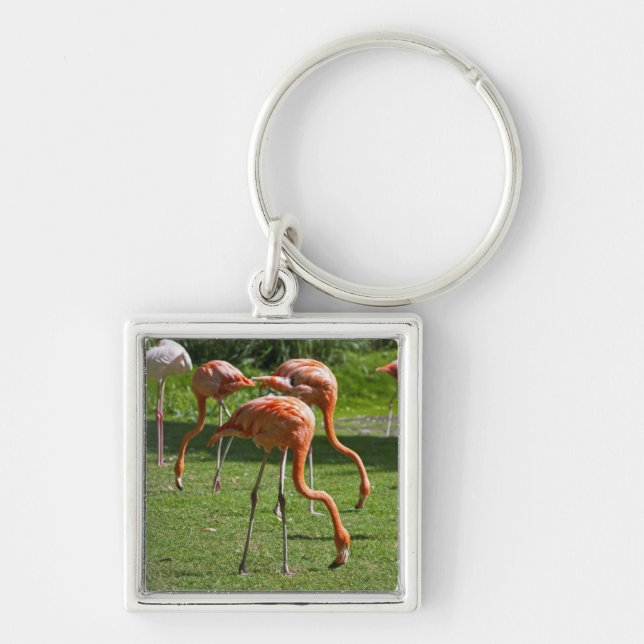 Flamingos Schlüsselanhänger (Vorne)