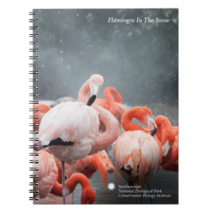 Flamingos Smithsonian   im Schnee Notizblock