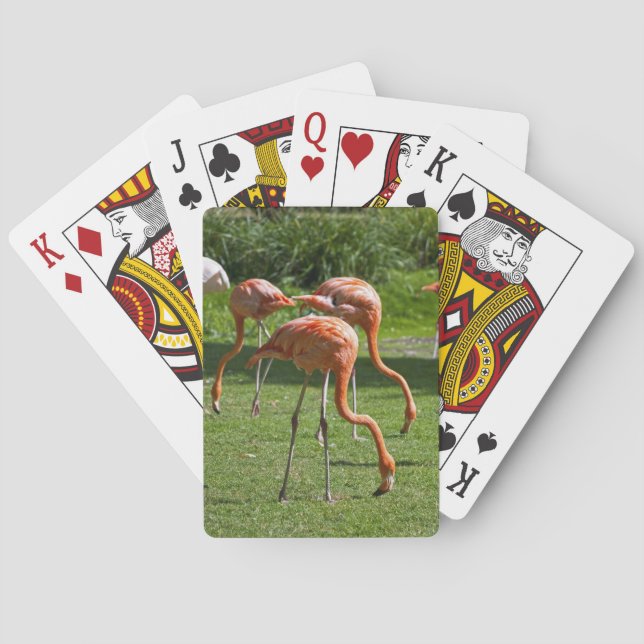 Flamingos Spielkarten (Rückseite)