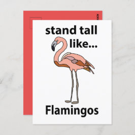 Flamingos Stand groß wie Flamingos Flamingos Flami Postkarte