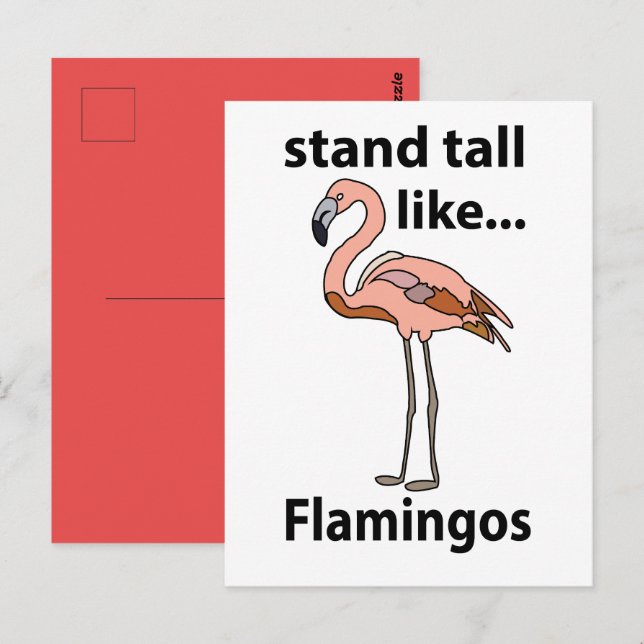 Flamingos Stand groß wie Flamingos Flamingos Flami Postkarte (Vorne/Hinten)