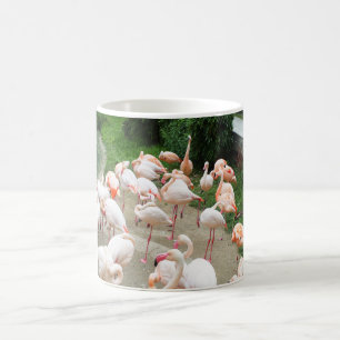 Flamingos Tasse