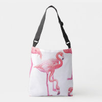Flamingos