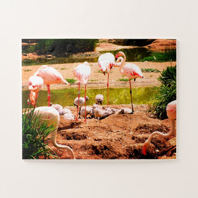 Flamingos und Küken Puzzle (Horizontal)