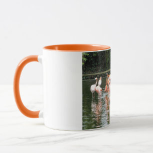 Flamingos und Reflexionen Tasse