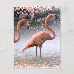 Flamingos und Wasserfall Postkarte