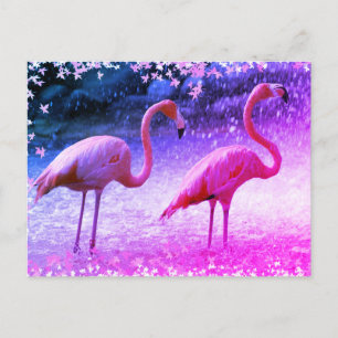 Flamingos und Wasserfall Postkarte