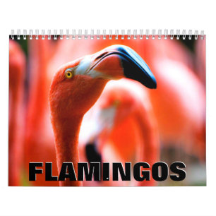 Flamingos Wall Calendar Kalender