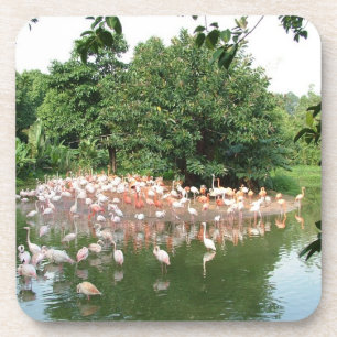 Flamingoschwarm Getränkeuntersetzer