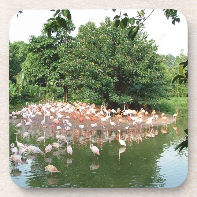 Flamingoschwarm Getränkeuntersetzer (Vorderseite)