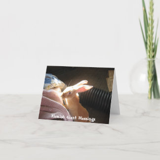 Flämischer riesiger Segen Notecards Karte