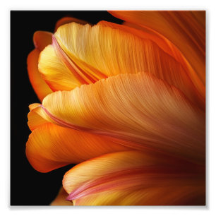 Flamme der Gnade - Goldener Tulip im Blühen Fotodruck