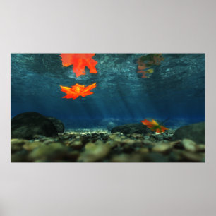 Flamme im Wasser-Druck Poster