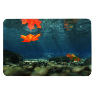 Flamme im Wasser-Magnet Magnet