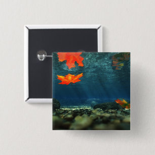 Flamme im Wasserknopf Button