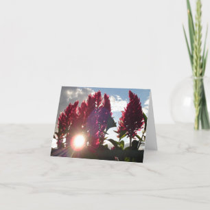Flammen-Blumen am Sonnenuntergang v2 Karte