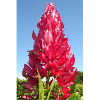 Flammen-Blumenausschnittmagnet Fotoskulptur Magnet