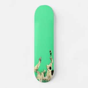 Flammen Flamme Flame Flames Feuer Fire Skateboard