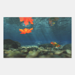 Flammen in den Wasseraufklebern Rechteckiger Aufkleber